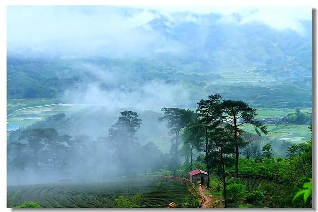 山雾里的红枫与悬亭