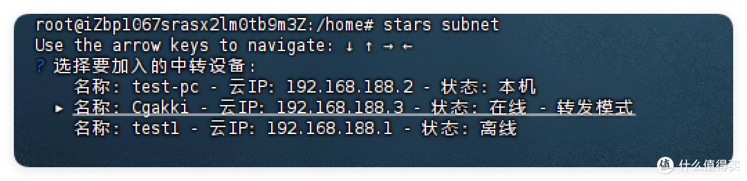 无公网,免费NAS异地组网,直连跑满家宽—星空组网上线网络互联插图18 无公网,免费NAS异地组网,直连跑满家宽—星空组网上线网络互联