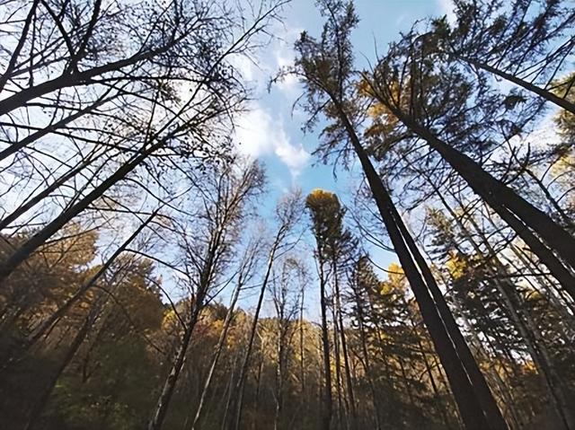 执镜寻秋 入画庞泉