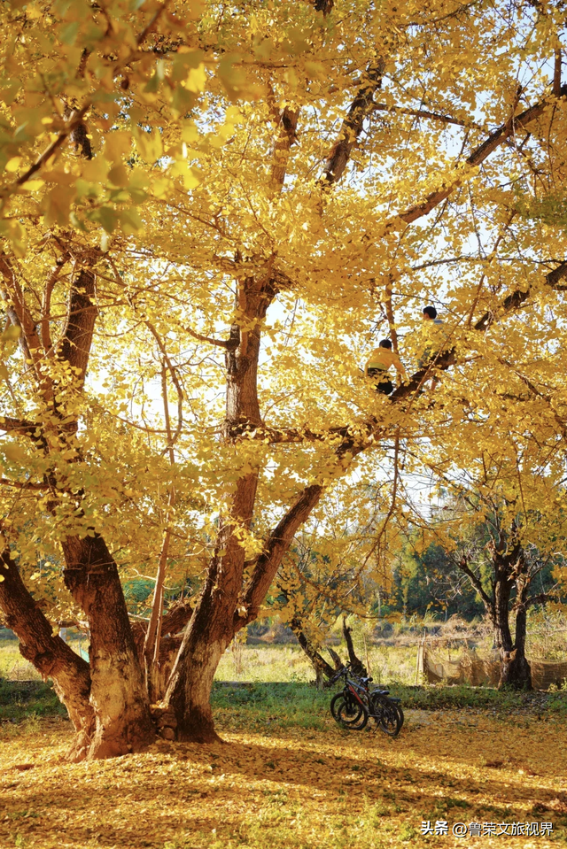 11月旅行：在山河秘境中，邂逅最本真的秋日浪漫