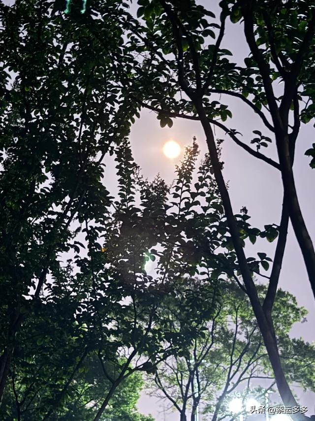中秋逛豫园，月满人团圆