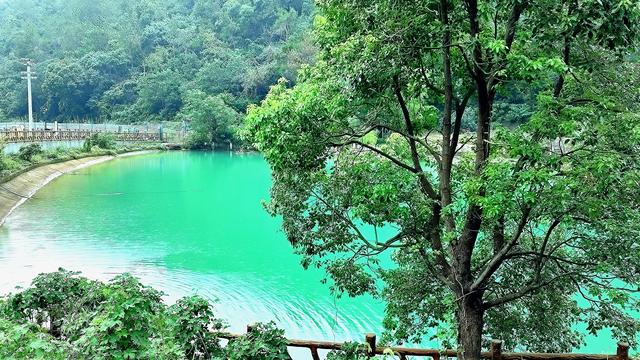 一汪碧水胜九寨:无锡龙山深处的秘境潭影