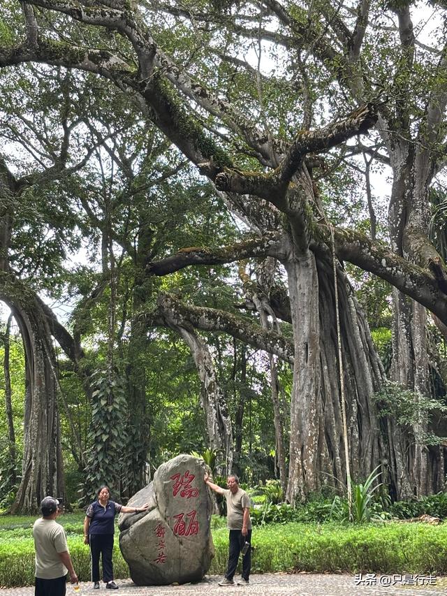 云南弥勒避暑旅游生活记录（三）瑞丽