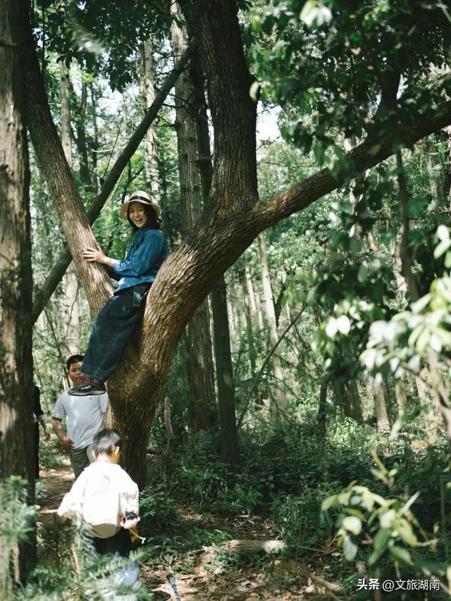 全部免费!解锁长沙10条山林徒步路线