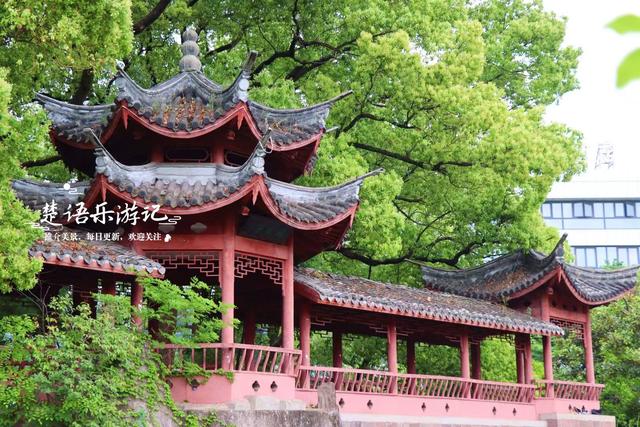 浙江宁波的古典园林式公园，毗邻火车站却被人忽略，景色相当秀丽