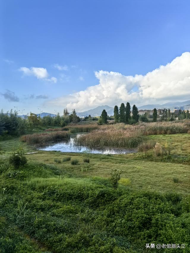 冬天的早上 晒着太阳从大观楼徒步到西山茶马花街 是什么样的感受？