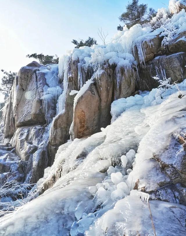 快看！从哈尔滨的冰雕里，挖出了整个真·泰安！
