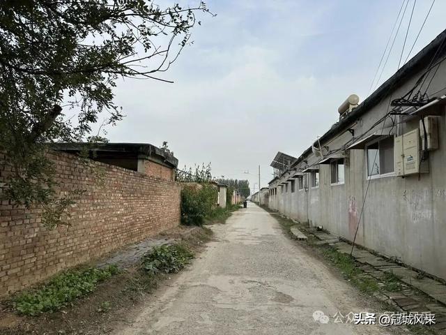 冠县乡韵·桑阿镇轧庄