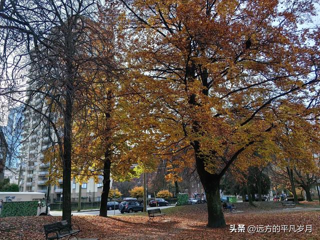 温哥华游记（四）