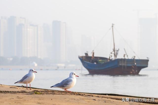 来一场说走就走的旅行，让心静下来慢慢倾听