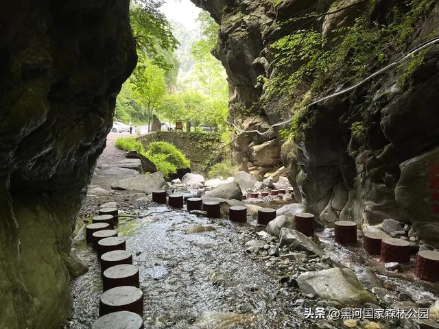 强烈推荐！适合全家出游的避暑胜地，清凉舒适风景美！