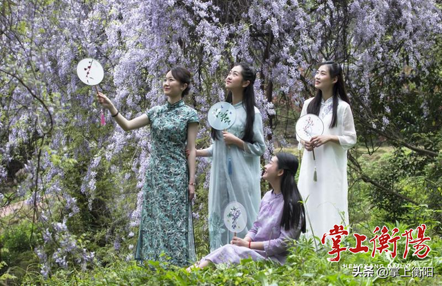 衡阳春日限定！收好这份踏青赏花打卡攻略~