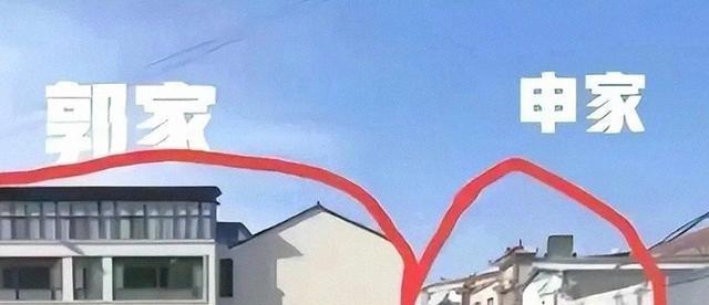 狗咬人风波持续升级，赵某晖再次爆料，申家姐姐身份被揭出！