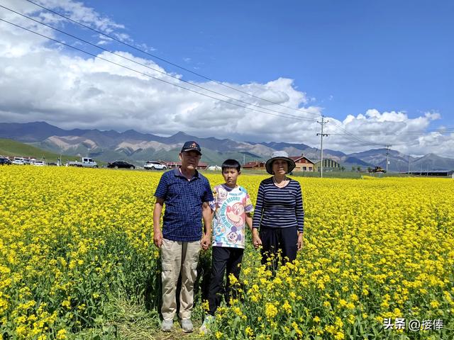 张传禄：门源油菜花印象记