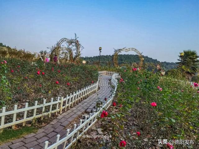 最新实拍!德阳东湖山都美成啥样了啊?太夸张了