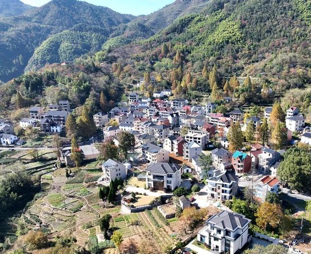 民宿一房难求！富阳有个“童话村”，美如仙境！