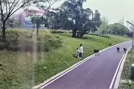 后续！母女被4条恶犬撕咬，知情人爆料，官方介入，狗主劣迹曝光图片