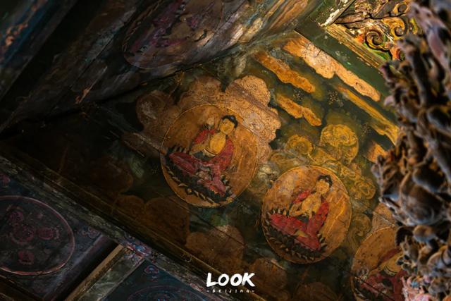 北京最新秋日打卡地 · 再看要等明年