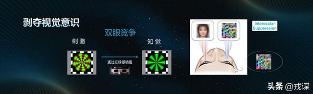 人类独占意识？鸟类没大脑皮层，却照样有意识！意识不是人类专属