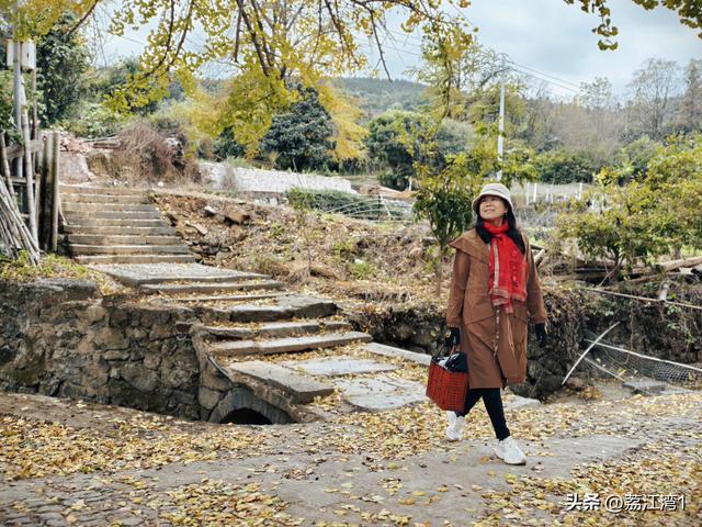 金叶映古村，醉美长岗岭