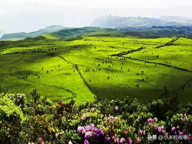 《乌蒙深处》邀你打卡贵州秘境：这里的山水比电视里还要美！