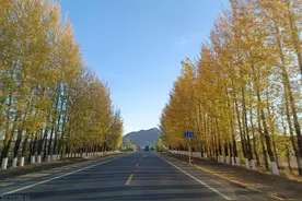 中年人,自驾游不要跑高速路，走省道国道或者县道，这才叫“游”图片