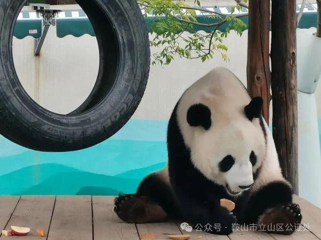 东北老铁看过来！鞍山兄弟请客啦！