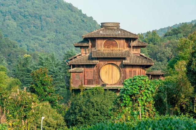 寻香杭州秋日漫行｜一条串起水光、茶田与桂雨的10公里轻徒步路线