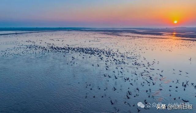 @仙桃人，这回大家真的要关注呀！