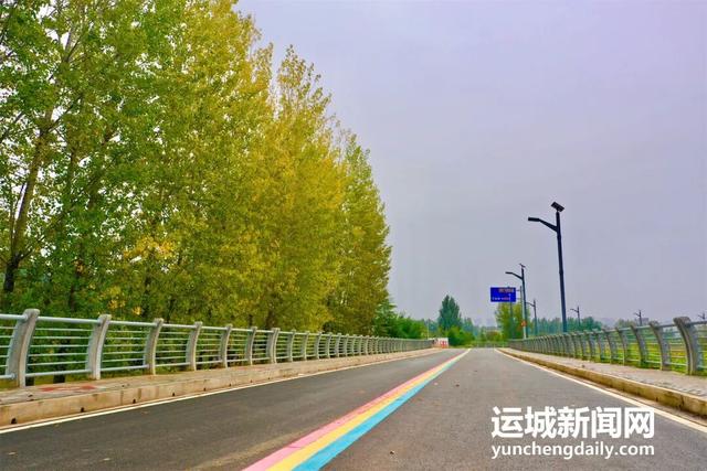 黄河一号旅游公路平陆段：层林尽染黄河岸