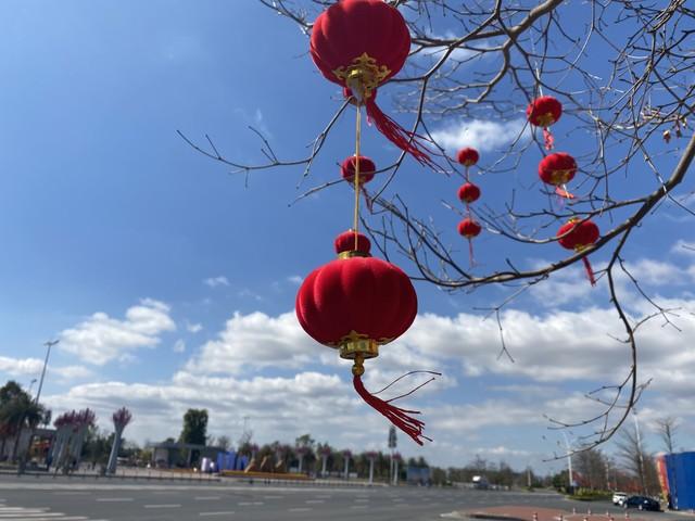 “上午立春，春节暖；下午立春，二月寒	”	，2026年立春是在几点？