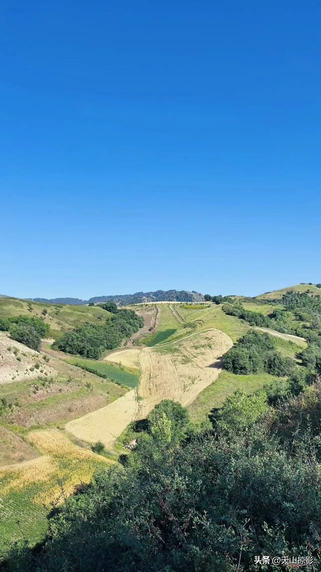 一二三，风吹麦浪