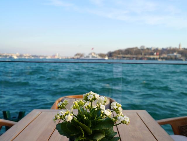 刚刚对中国免签的国度 这家酒店你一定要住！