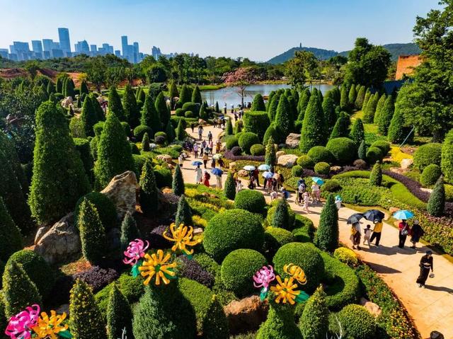 图说中国|赴一场初冬之约，在暖阳里收藏美好时光