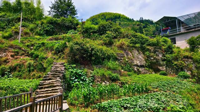 皖浙摩旅二人转——谷丰村篇