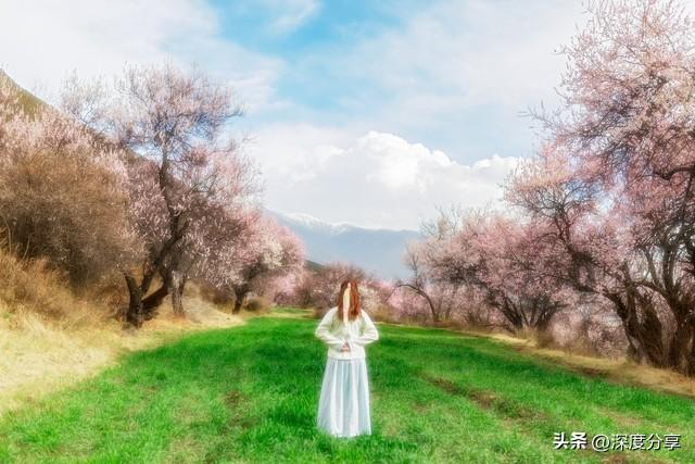 牵了手的你，一辈子都和我相守，我的爱	，这一生只予你