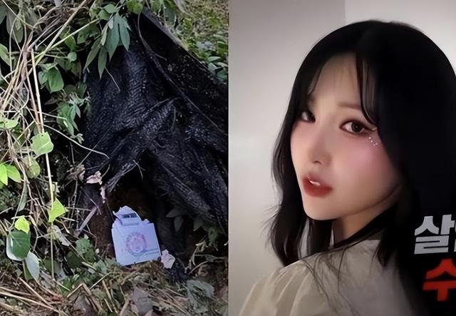 22岁女网红被杀，50岁榜一大哥被捕，钱都是借的，打赏文化太危险