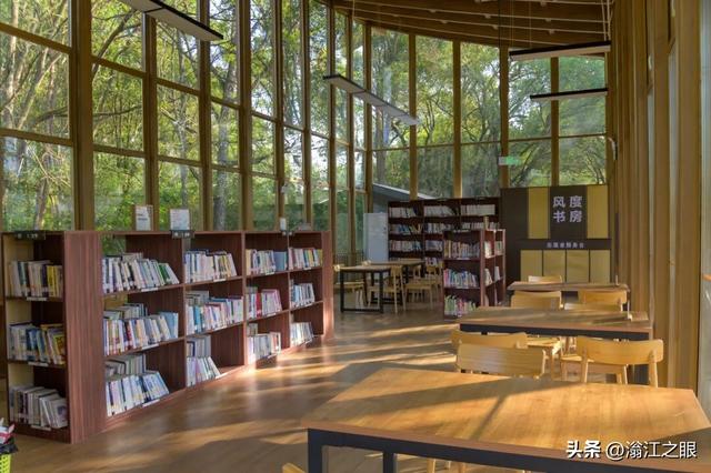 遛娃、约会、发呆…一份在韶关武江完美的晒太阳方案是这样↓