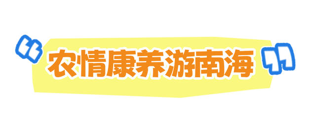 国庆中秋游佛山｜假期安排！解锁南海200+种玩法