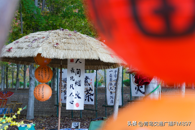周末近郊游 首选张家楼！青岛西海岸新区第三届红枫文化节19日开幕