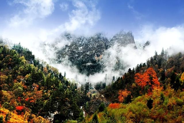 【行业动态】陇南秘境：秋末冬初的山水诗行