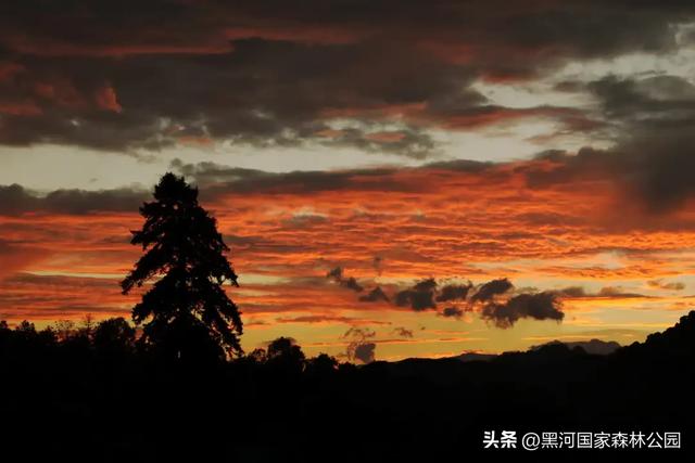 转给那个总说“没时间去远方”的朋友：你看，诗与远方，其实就在2小时车程外