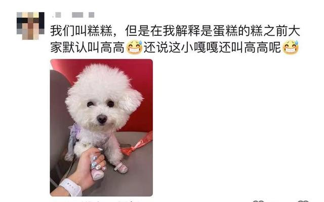 原来宠物在外都有别的名字啊！养宠物的朋友们，你们都知道吗？