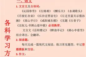 家长必看，一张表讲清2025中考。图片