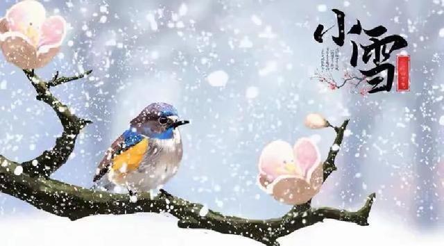 “小雪不过午	，冬天冻死牛”，明日小雪几点？今年冬天冷到哭吗？