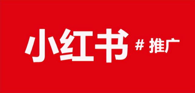 小红书SEO优化账号「权重急救」拉回首页！