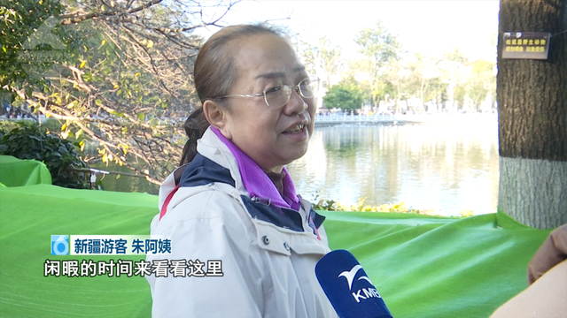 “鸥”经济爆发！昆明元旦酒店订单猛增118%，全靠这群小可爱