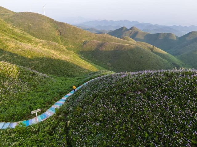 国内最宜居的城市之一，竟然不是大理，而是藏在贵州的大山里？