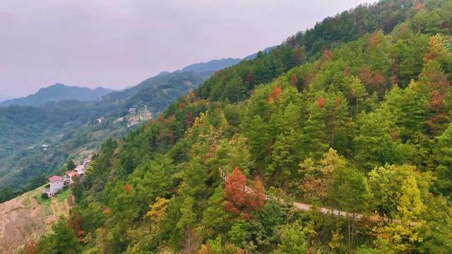 重访开州岳溪善字山：与一座山村的秋日对话，追寻记忆中的乡恋