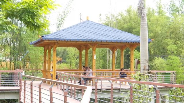 怀集的四季!带你回顾,带你深入